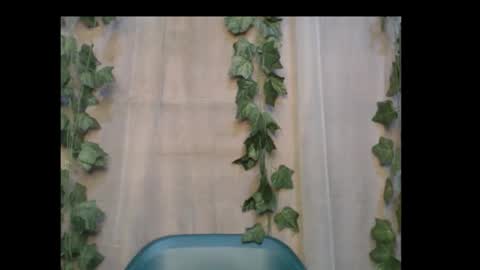 Snapshot of dripqueenx chatting on October 2025 12:50:01 PM linda online show from October 2025 12:50:01 PM