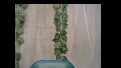 Snapshot of dripqueenx chatting on October 2025 12:55:01 AM linda online show from October 2025 12:55:01 AM