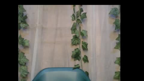 Snapshot of dripqueenx chatting on October 2025 01:12:02 PM linda online show from October 2025 01:12:02 PM