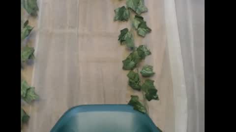 Snapshot of dripqueenx chatting on December 2025 12:18:02 AM linda online show from December 2025 12:18:02 AM