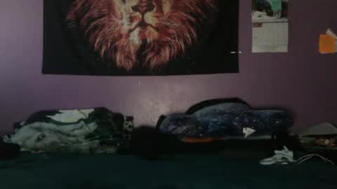 Snapshot of dripthehit chatting on January 2025 05:56:01 PM dripthehit online show from January 2025 05:56:01 PM