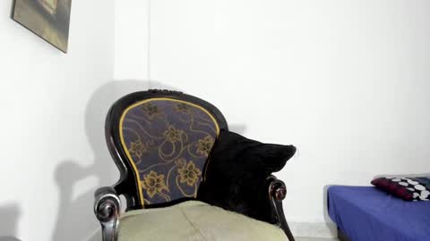 drizsx online show from January 2025 09:02:02 AM