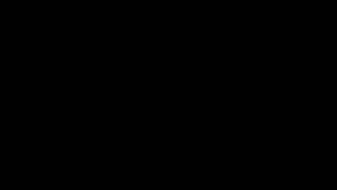 Dreamie online show from December 2024 04:53:01 AM