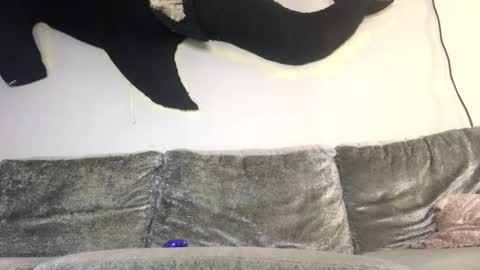 2xTheTrouble online show from February 2026 03:21:01 AM