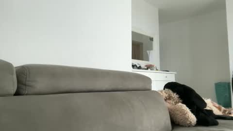 Snapshot of drresa chatting on October 2025 09:54:01 AM Dr. Resa online show from October 2025 09:54:01 AM