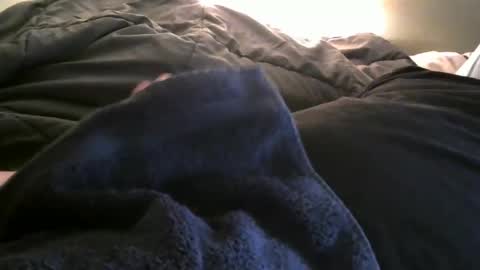 dryfly3782 online show from February 2025 04:59:01 AM