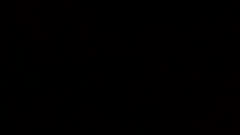 ds_80 online show from January 2025 10:45:01 AM