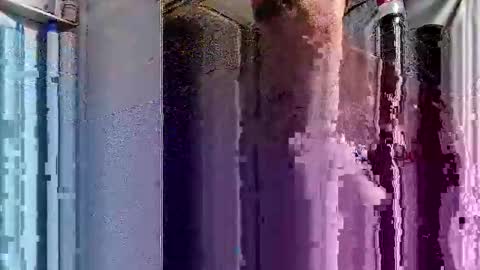 Snapshot of dsmock chatting on October 2025 06:08:02 AM dsmock online show from October 2025 06:08:02 AM