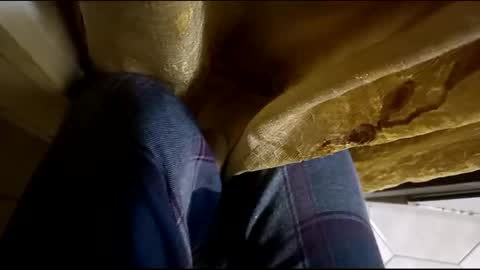 Snapshot of dthedog12 chatting on March 2025 02:09:02 AM dthedog12 online show from March 2025 02:09:02 AM