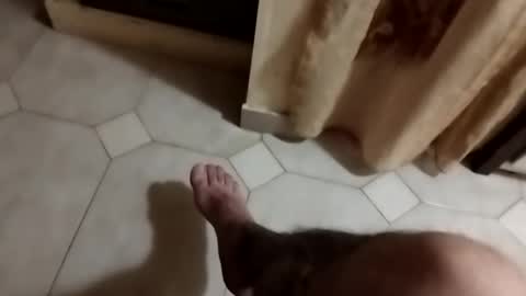 Snapshot of dthedog12 chatting on September 2025 09:51:01 PM dthedog12 online show from September 2025 09:51:01 PM