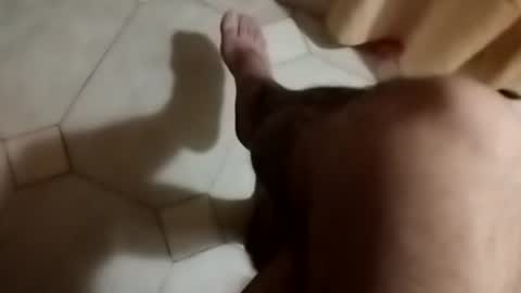 Snapshot of dthedog12 chatting on September 2025 08:58:01 PM dthedog12 online show from September 2025 08:58:01 PM