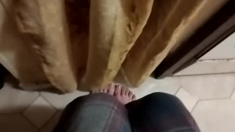 Snapshot of dthedog12 chatting on October 2025 09:12:02 PM dthedog12 online show from October 2025 09:12:02 PM