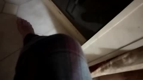 Snapshot of dthedog12 chatting on November 2025 12:55:01 AM dthedog12 online show from November 2025 12:55:01 AM