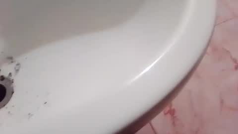 dthedog12 online show from November 2025 09:36:02 PM