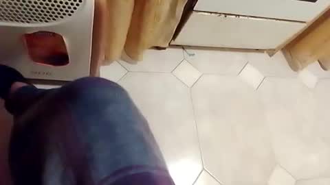 dthedog12 online show from February 2026 02:19:01 AM