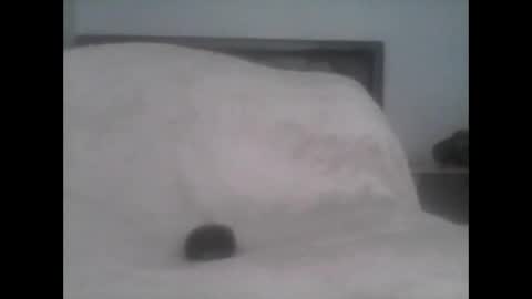 Snapshot of dudek0 chatting on November 2025 02:19:02 PM dudek0 online show from November 2025 02:19:02 PM