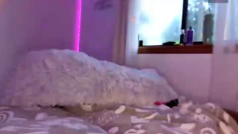 Dust Bunni online show from June 2026 11:04:02 AM