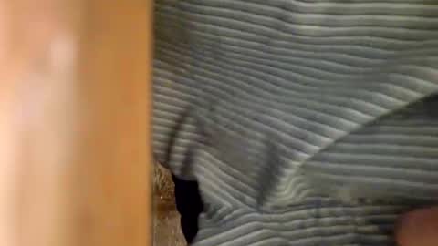 Snapshot of dvelope chatting on January 2025 09:30:02 AM dVe1oPe online show from January 2025 09:30:02 AM