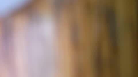 Snapshot of dvelope chatting on September 2025 09:42:02 AM dVe1oPe online show from September 2025 09:42:02 AM