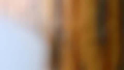 Snapshot of dvelope chatting on October 2025 09:21:01 AM dVe1oPe online show from October 2025 09:21:01 AM