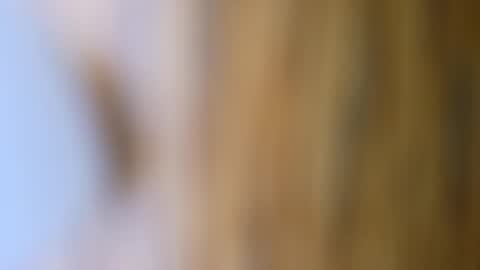 Snapshot of dvelope chatting on October 2025 09:56:02 AM dVe1oPe online show from October 2025 09:56:02 AM