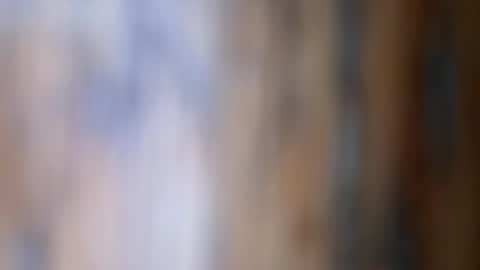 Snapshot of dvelope chatting on November 2025 09:54:02 AM dVe1oPe online show from November 2025 09:54:02 AM