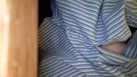 Snapshot of dvelope chatting on January 2026 09:47:02 AM dVe1oPe online show from January 2026 09:47:02 AM