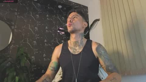 D Y L A N online show from May 2026 03:12:01 AM