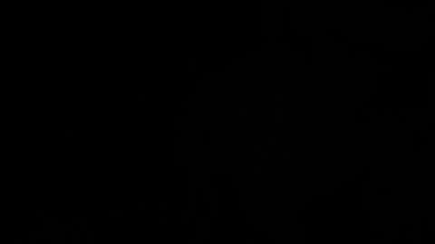 ---DYLAN--- online show from March 2025 11:48:01 PM