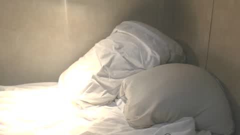 dylp400 online show from October 2025 11:29:02 AM