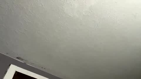 nastyboi801 online show from November 2025 08:05:01 AM