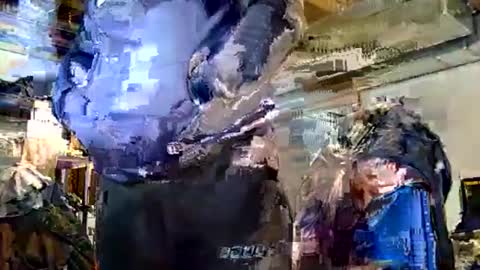 Dywrect online show from February 2026 08:16:02 PM
