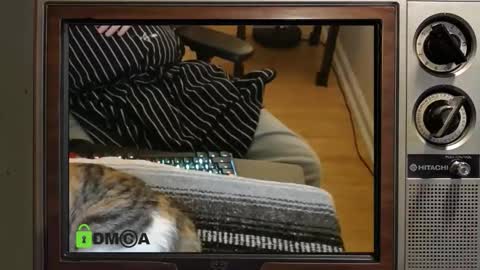 e8849c online show from November 2025 11:03:01 PM