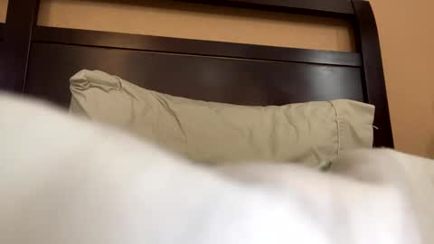 earl3232 online show from February 2026 09:33:02 PM