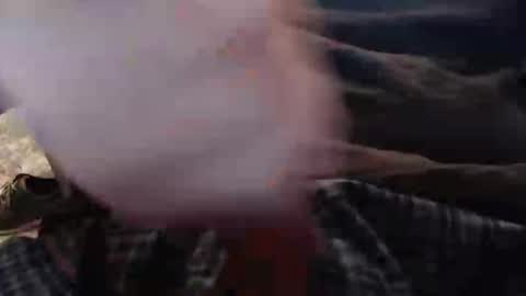 eat_a_peach2 online show from November 2025 11:43:01 AM