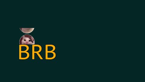 Vaco Eblidator online show from December 2024 10:23:02 AM