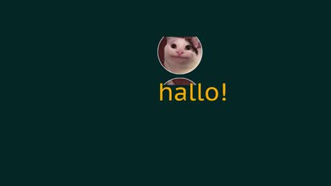Vaco Eblidator online show from December 2024 08:33:02 AM