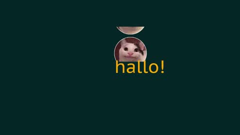 Vaco Eblidator online show from February 2025 08:57:02 AM
