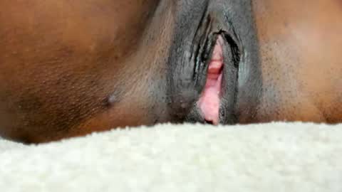 Ebony Prolapse online show from March 2026 08:44:02 AM