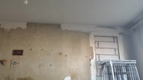 Snapshot of edifox chatting on February 2025 01:16:02 PM Alexander online show from February 2025 01:16:02 PM