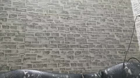 Snapshot of edithmanning chatting on January 2025 03:33:01 AM edithmanning online show from January 2025 03:33:01 AM