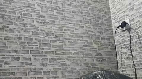 Snapshot of edithmanning chatting on January 2025 11:11:01 AM edithmanning online show from January 2025 11:11:01 AM