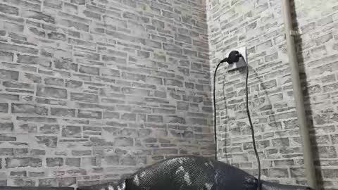 Snapshot of edithmanning chatting on February 2025 12:29:01 PM edithmanning online show from February 2025 12:29:01 PM