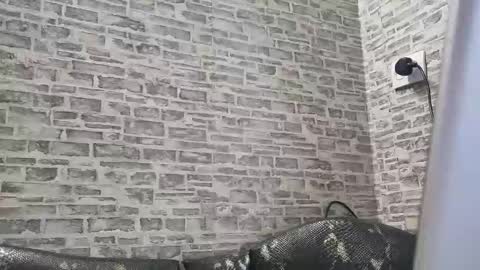 Snapshot of edithmanning chatting on February 2025 01:55:02 PM edithmanning online show from February 2025 01:55:02 PM