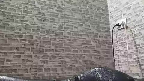 Snapshot of edithmanning chatting on March 2025 03:45:02 PM edithmanning online show from March 2025 03:45:02 PM