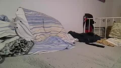 Snapshot of edwill13 chatting on February 2026 10:16:01 PM EdM online show from February 2026 10:16:01 PM