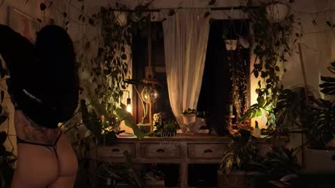 Effy online show from November 2025 12:10:01 AM