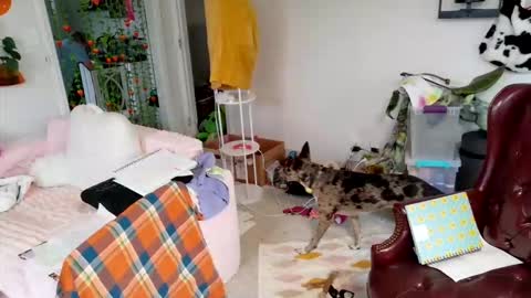 Snapshot of ejrabloom chatting on March 2026 07:29:01 PM ejrabloom online show from March 2026 07:29:01 PM