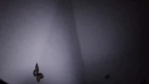 Snapshot of ekspansion chatting on January 2026 04:37:02 AM Ekspansion online show from January 2026 04:37:02 AM