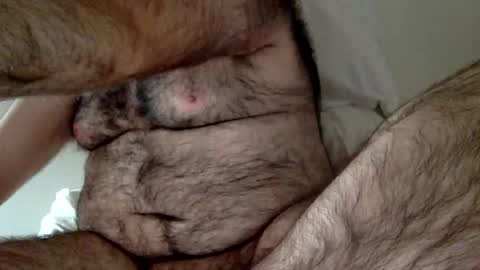 elabear online show from December 2024 03:33:02 PM